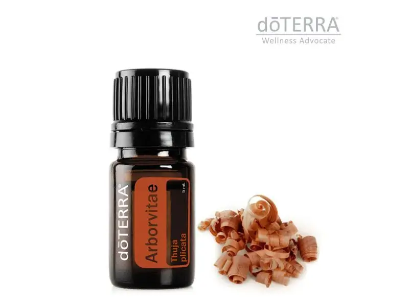 doTerra Arborvitae 5 ml