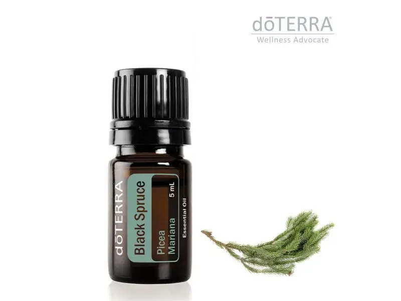 doTerra Black Spruce 5 ml