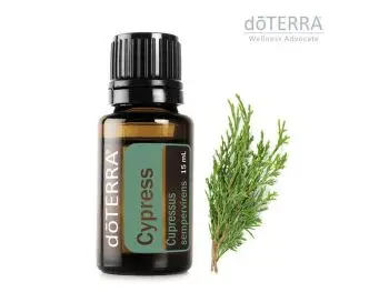 doTerra Cypress 15 ml