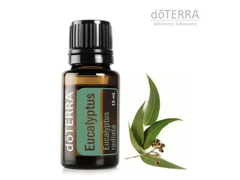 doTerra Eucalyptus 15 ml